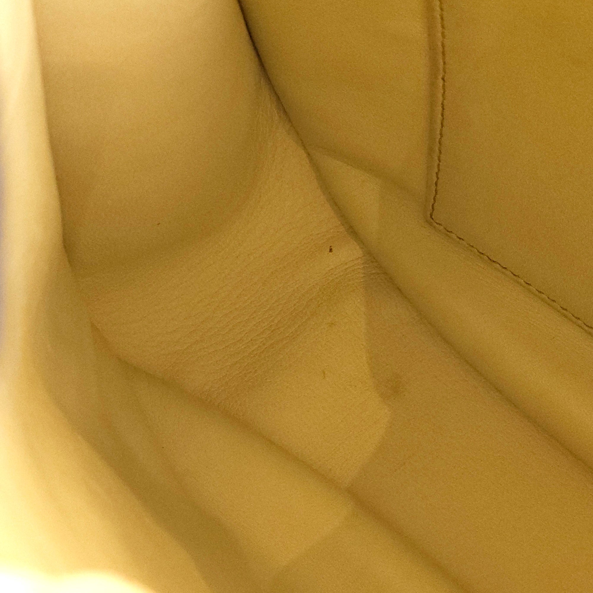 Evelyn I PM Beige in Vibrato, Palladium hardware - Image 4