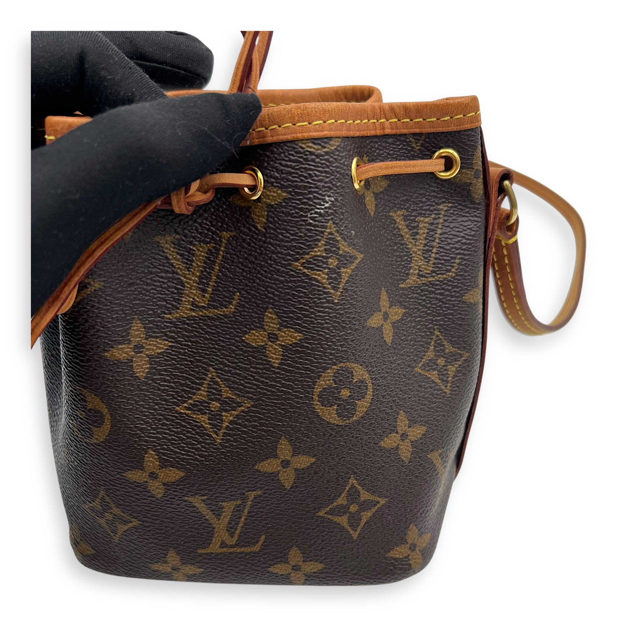 Noe Bucket Bag Nano Brown in Monogram Coated Canvas, Gold hardware - Image 10