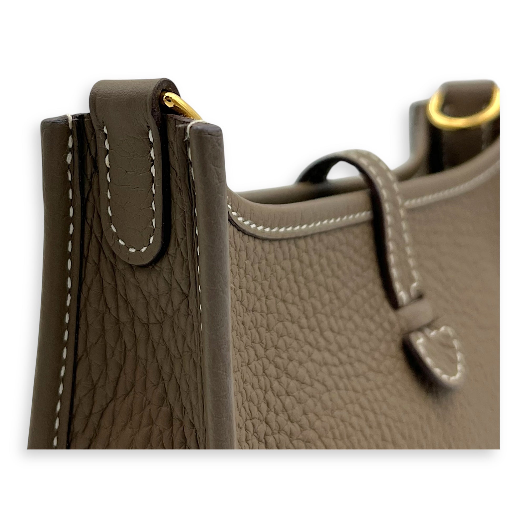 Evelyne TPM Etoupe Crossbody Bag in Clemence, Gold hardware - Image 7