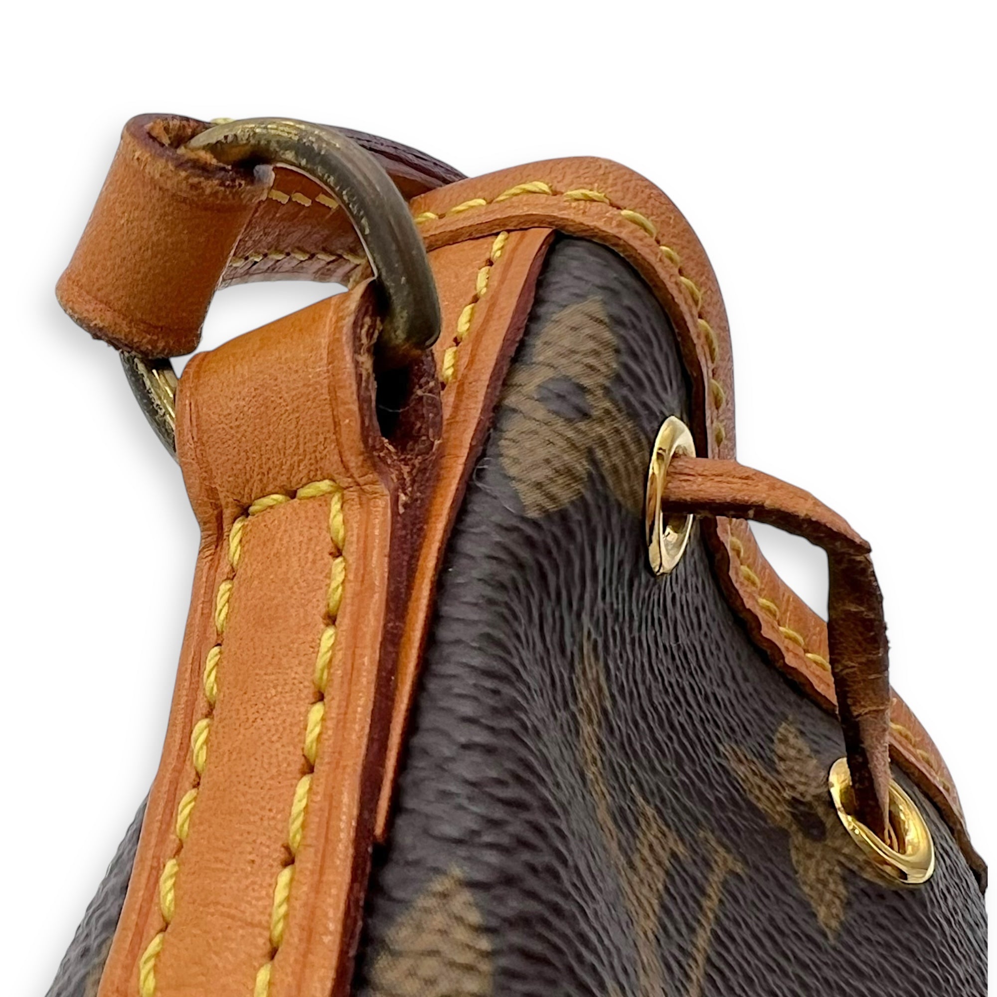 Noe Bucket Bag Brown in Monogram Coated Canvas, Gold hardware - Image 10
