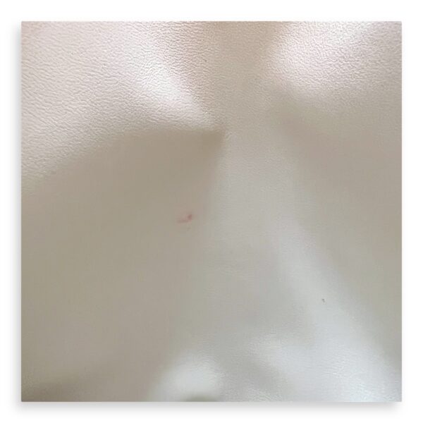 Aline Mini Neutral in Milo Lambskin Swift - Image 15