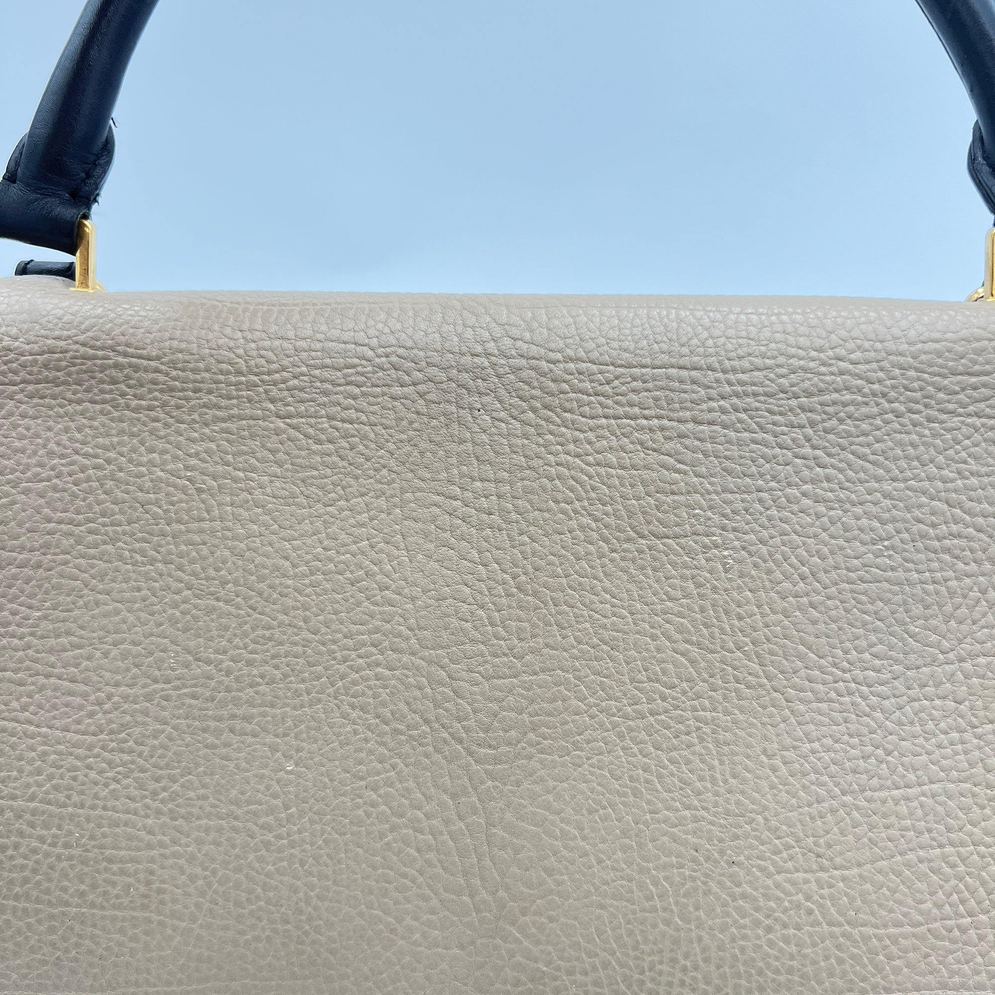 Trapeze Medium Top handle bag in Calfskin, Gold Hardware - Image 8