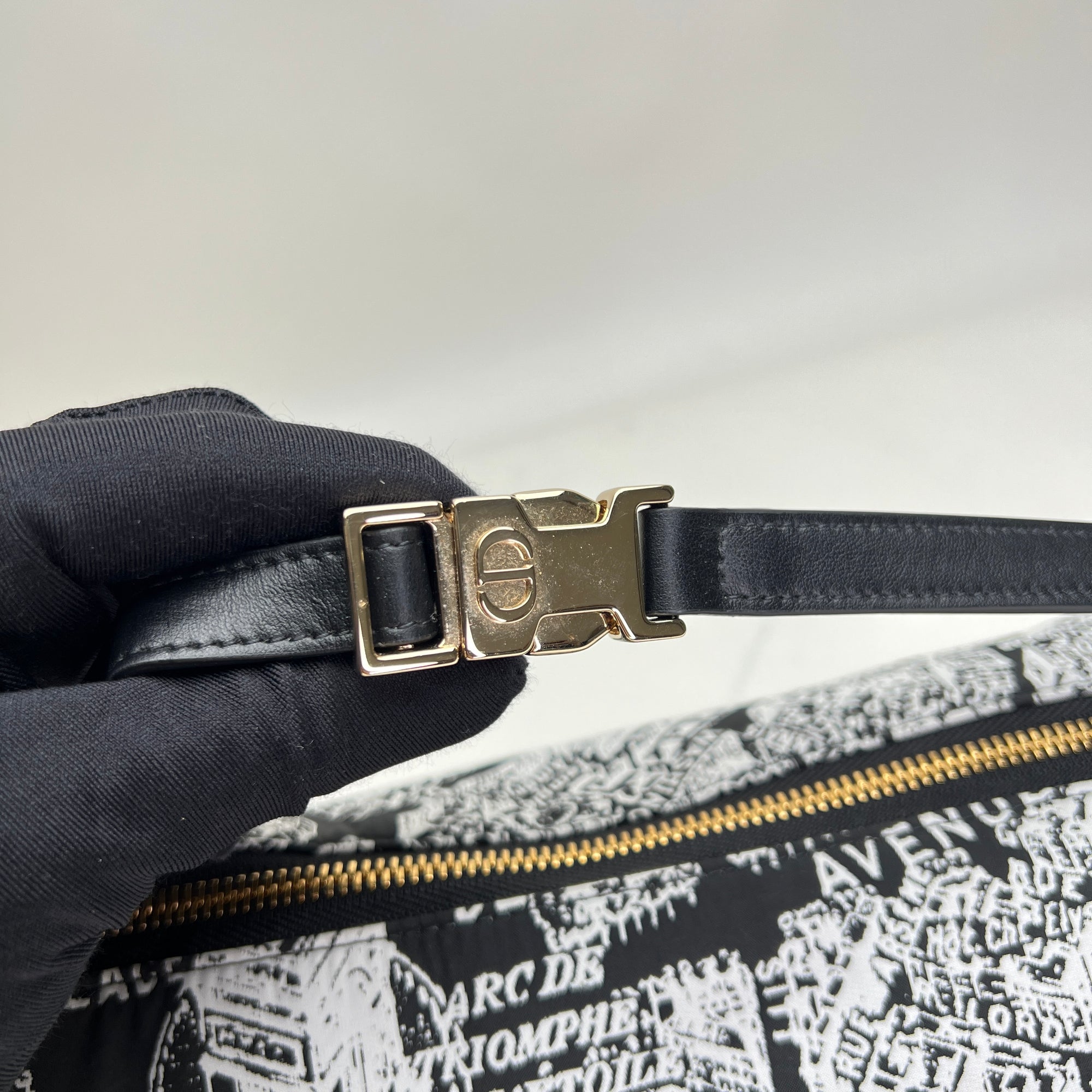 DiorTravel Nomad Medium Black Shoulder Bag in Canvas, Light Gold hardware - Image 9